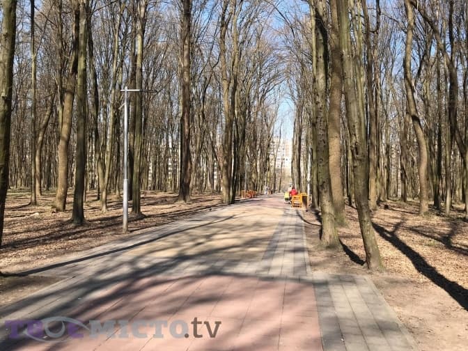 Чи дотримуються львів'яни нових вимог карантину. Відео