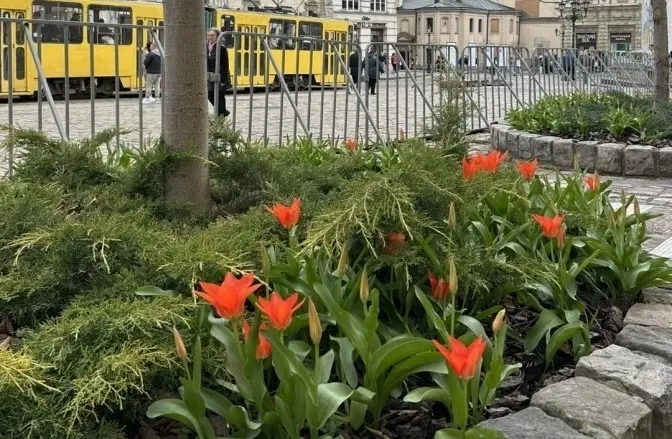 Фото: Любомир ЗУбач