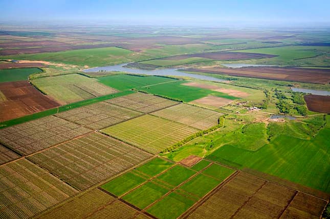 За махінації із земельними ділянками реєстратору на Львівщині загрожує до шести років ув'язнення