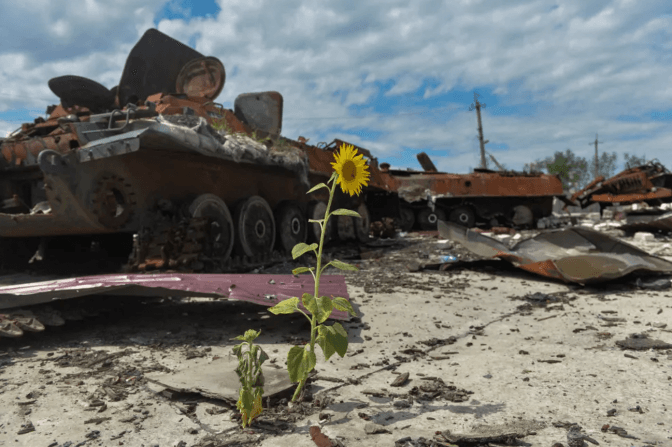 Землі України – найбільш забруднені вибухівкою у світі, а збитки екології сягають 1,35 трлн грн