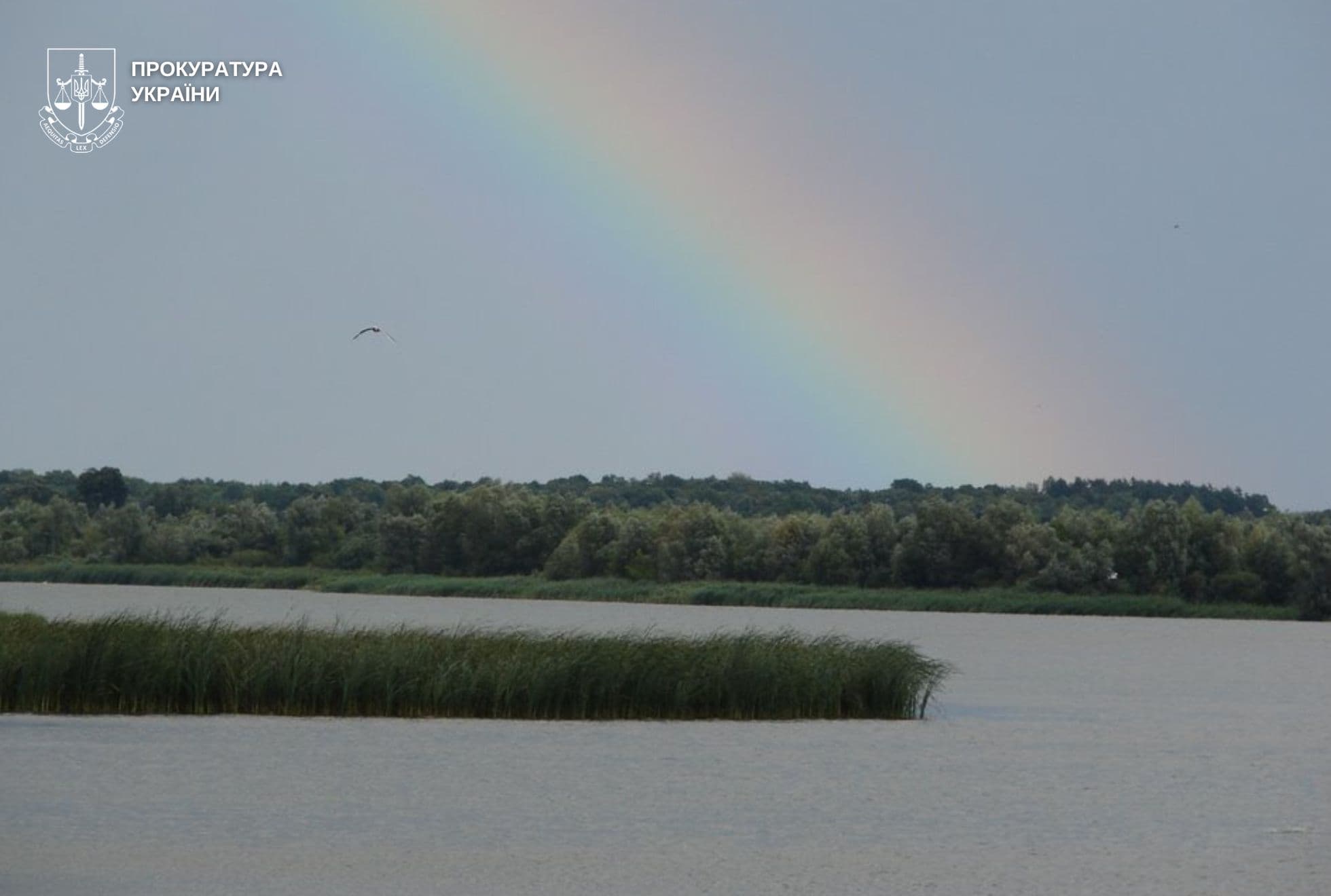 Фото: Львівська обласна прокуратура