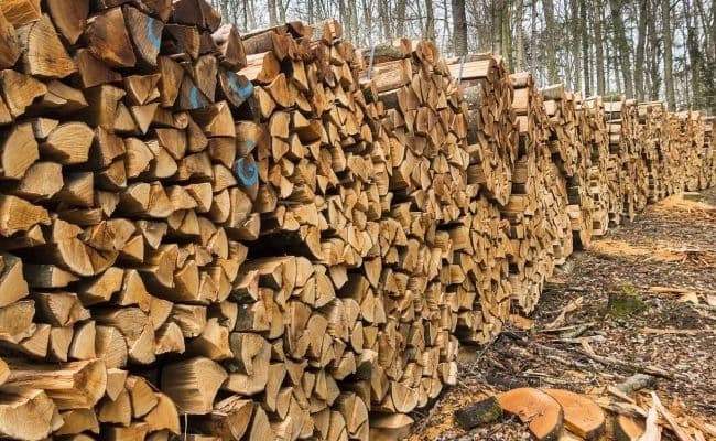 Як жителі Львівщини можуть забезпечити свої домівки дровами на зиму