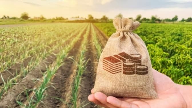 В Україні нові правила покупки та продажу землі. Що змінилося
