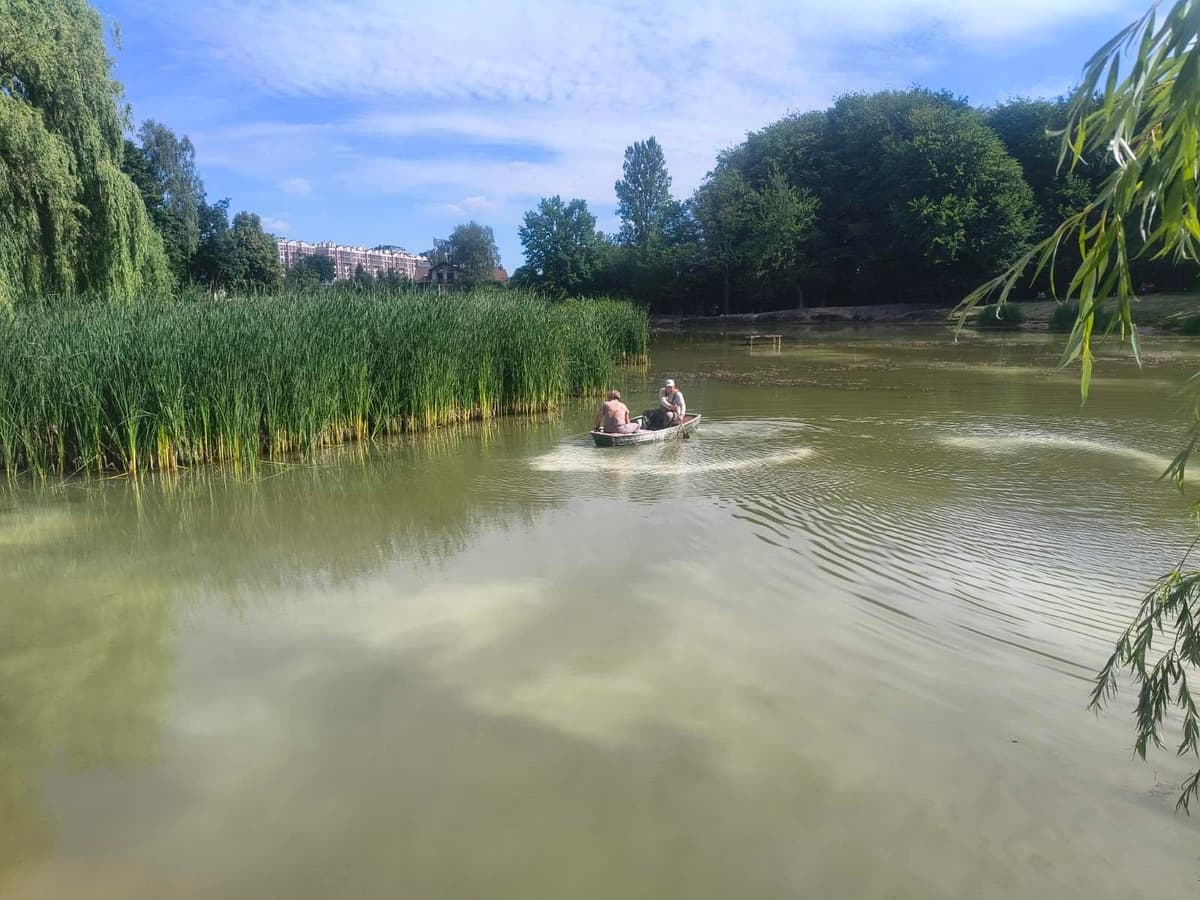 У Львові пояснили, чому водойми у парках набули незвичного кольору
