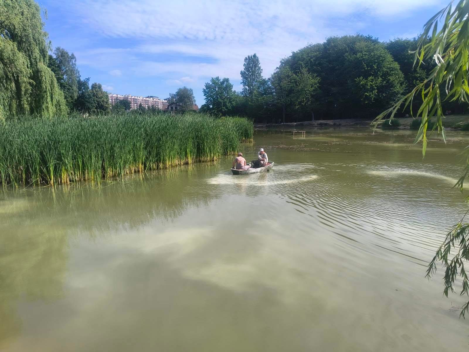Вапнування водойм у парках Львова / фото: ДП "Бондарівка"