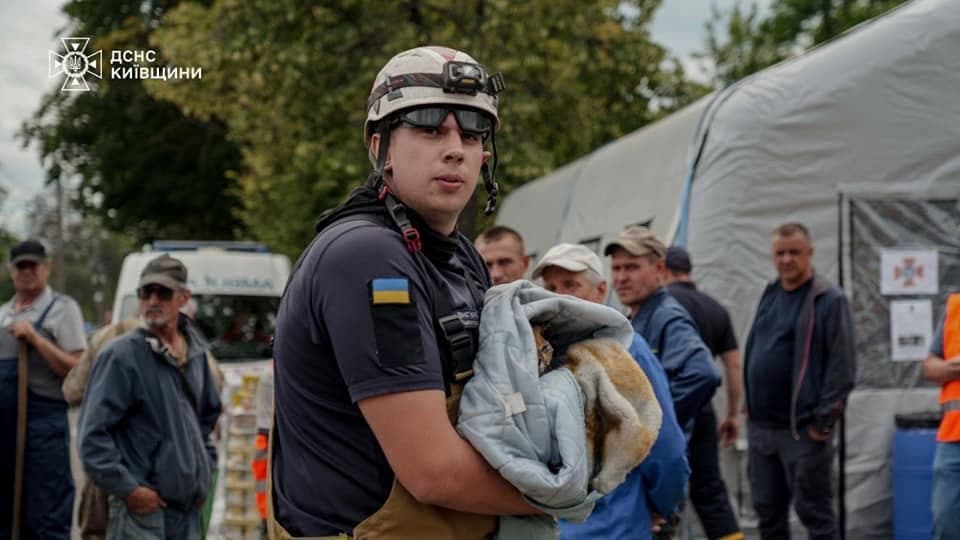 Мали обпечені вушка та тремтіли від страху: історії порятунку двох котиків із-під завалів у Вишневому та Києві