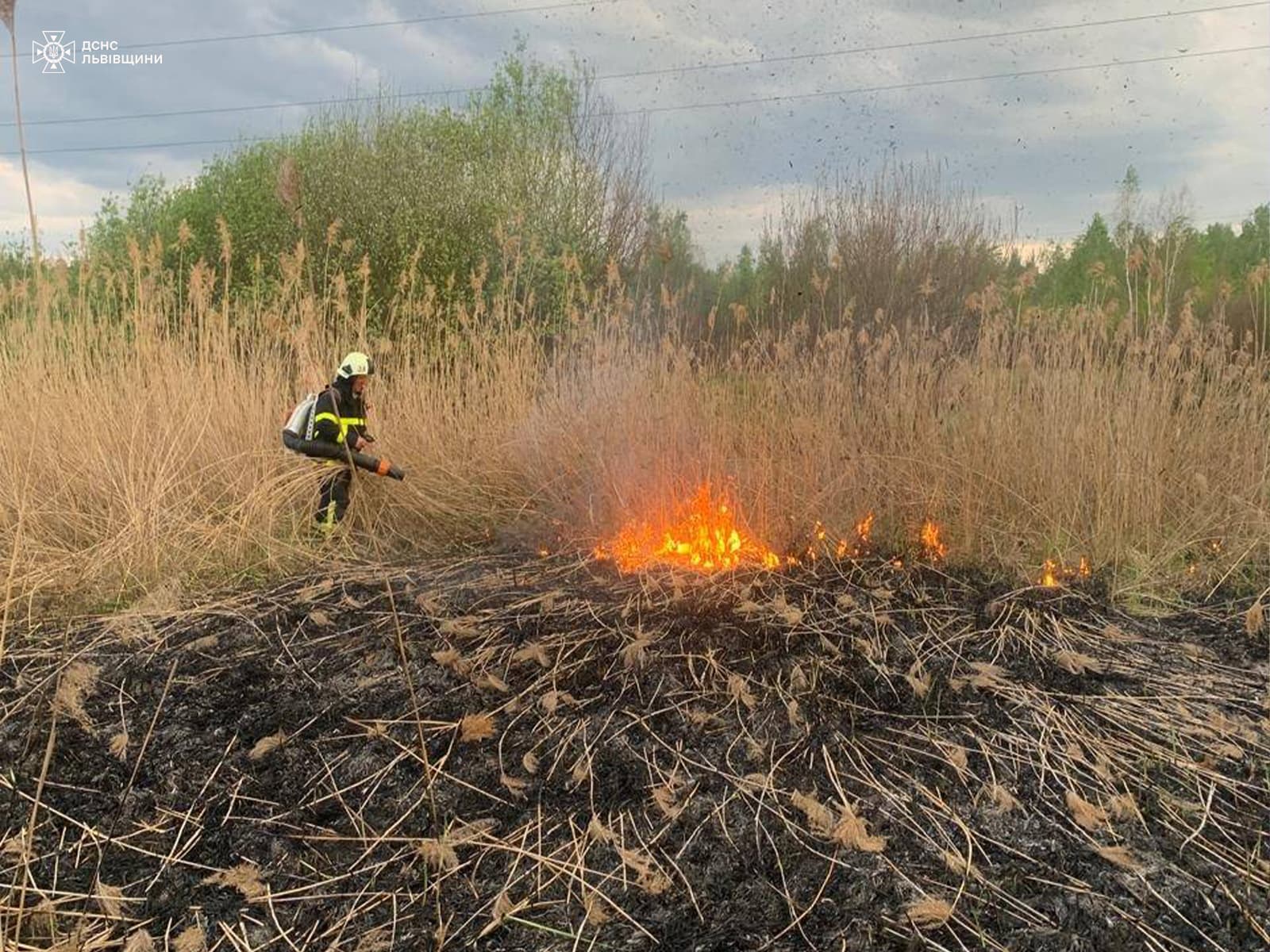 Пожежник ліквідовує вогонь / фото: ДСНС
