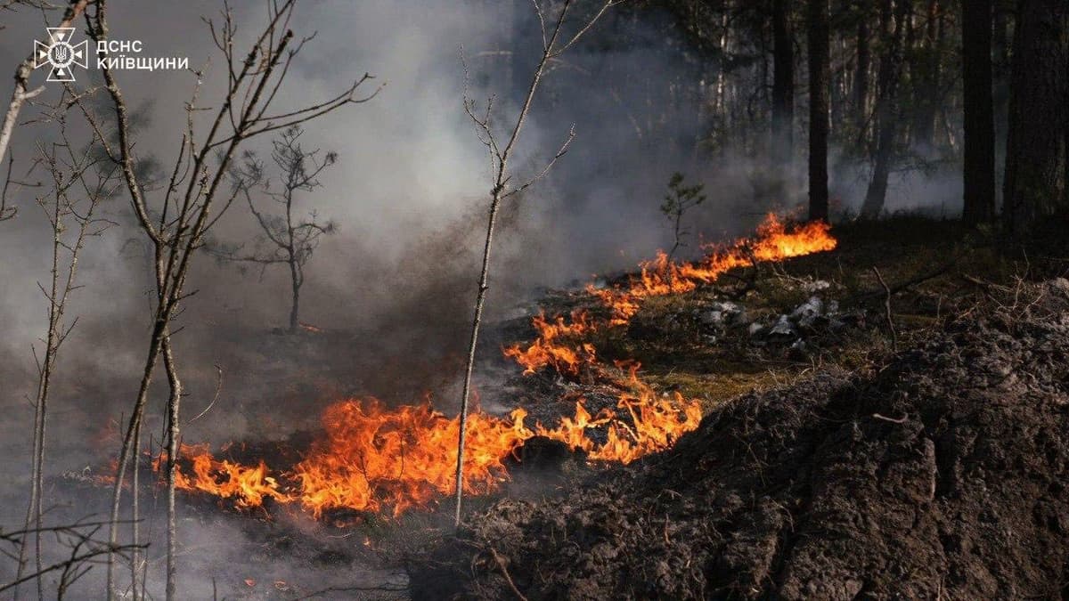 В Чорнобильській зоні вирує лісова пожежа, вогонь охопив понад 1100 гектарів
