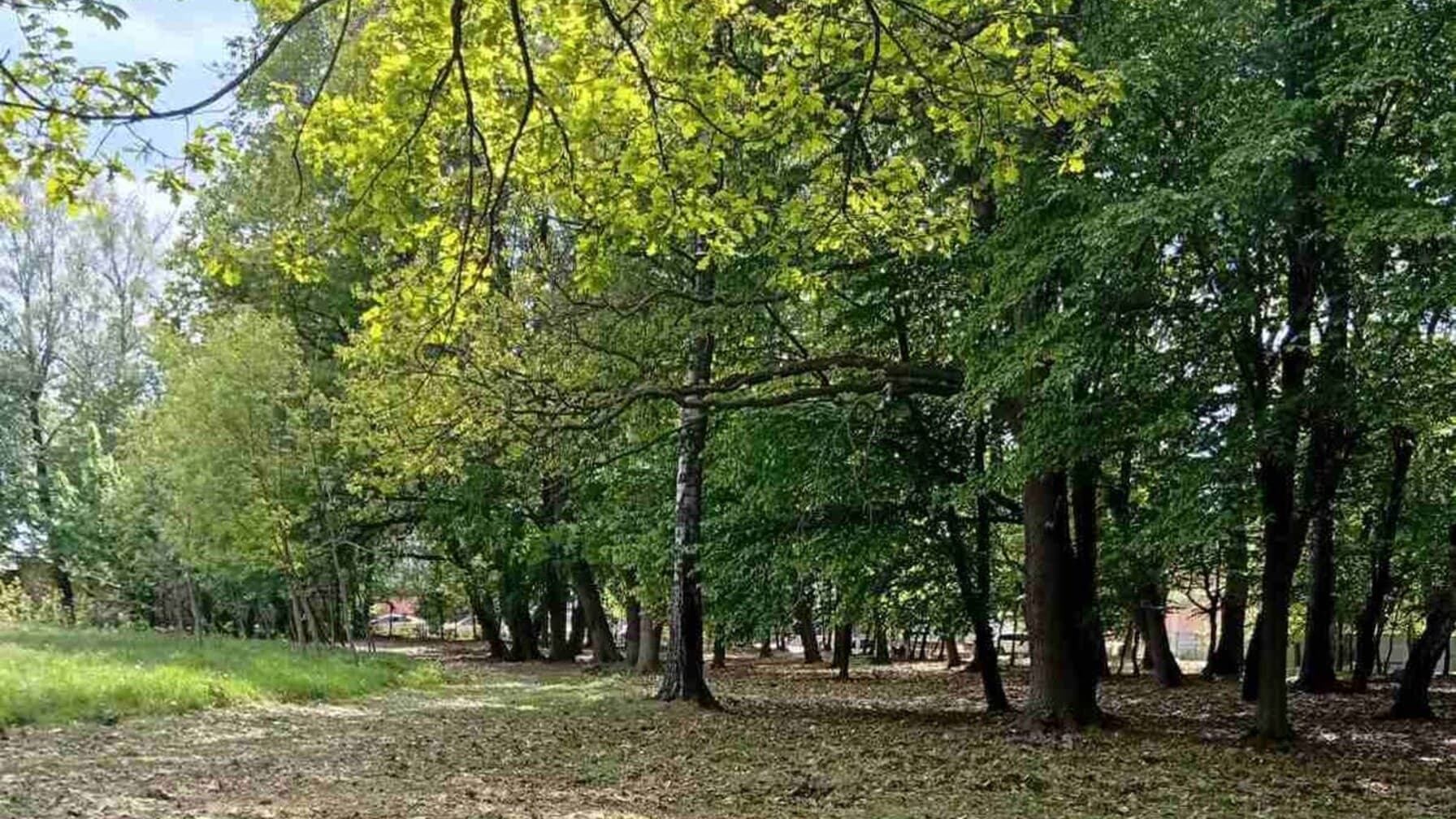 Мешканців Рудного кличуть долучитися до розвитку місцевого парку / фото ЛМР
