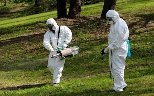 Парк «Знесіння» оброблятимуть від кліщів