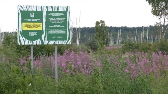 Територія заказника "Торфовище Білогорща". Суспільне Львів