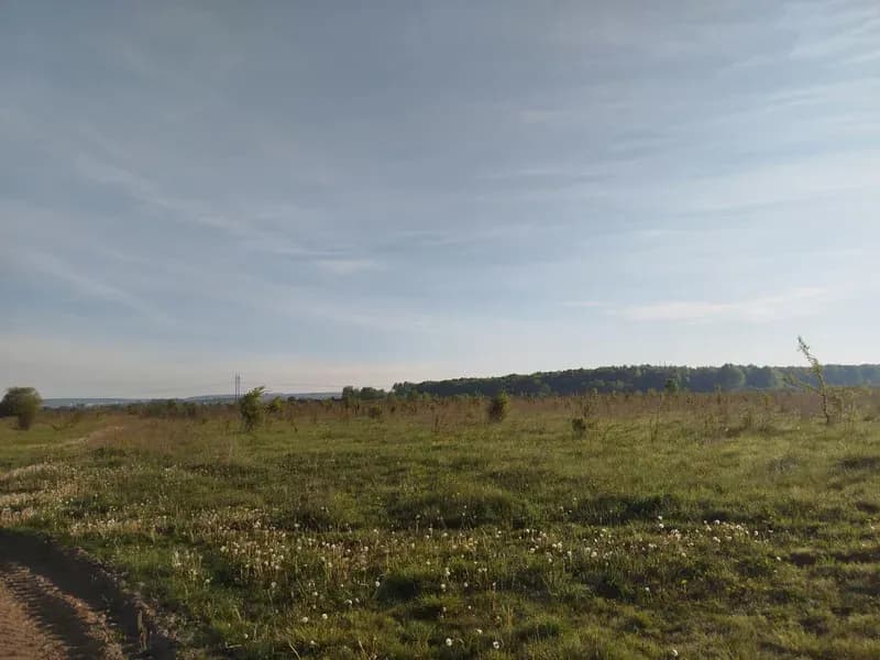 На Львівщині шукають орендарів для п'яти земельних ділянок
