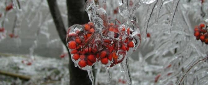 На вихідних у Львові – мороз та ожеледиця