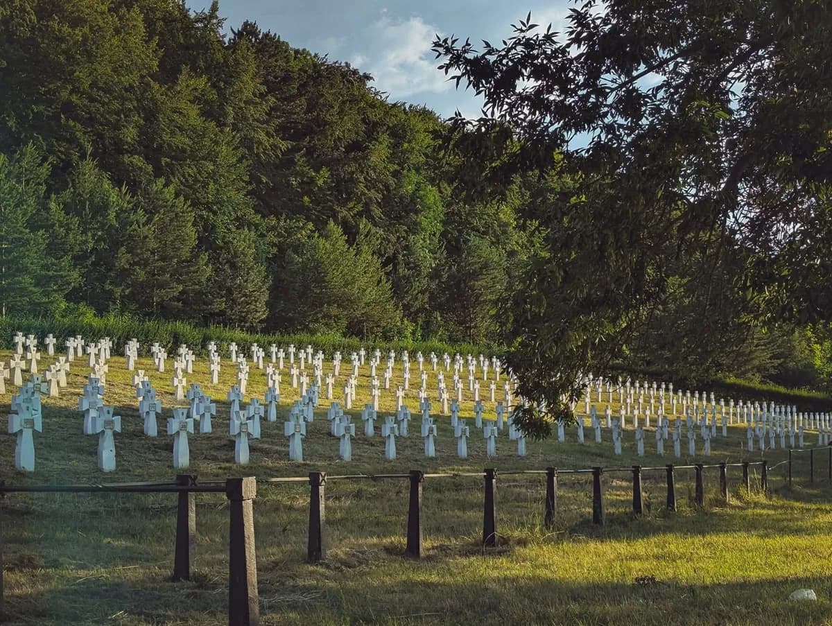 У неділю на Золочівщині вшанують пам'ять вояків дивізії «Галичина» та всіх полеглих під Бродами