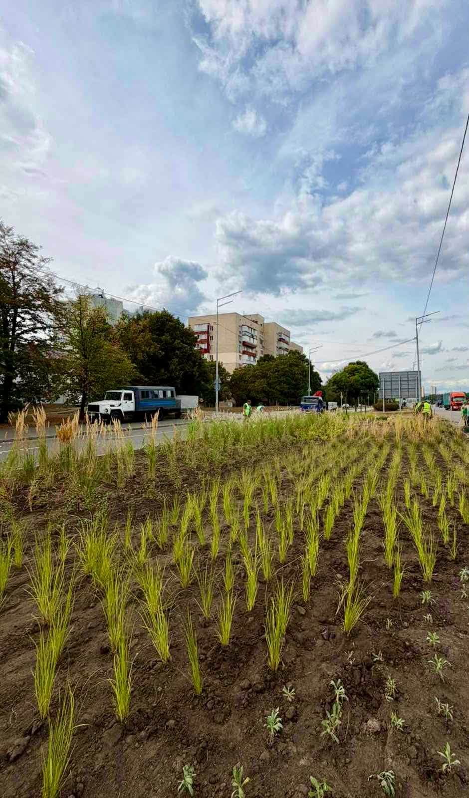 Фото: Київзеленбуд