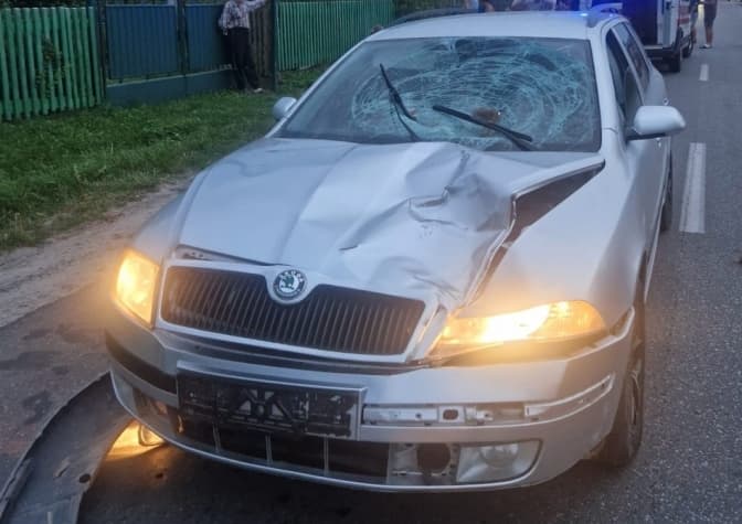 У Львівському районі збили 15-річну дівчину насмерть