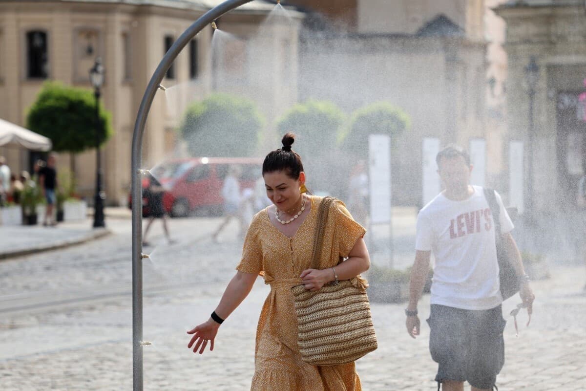 Фото: ЛМР