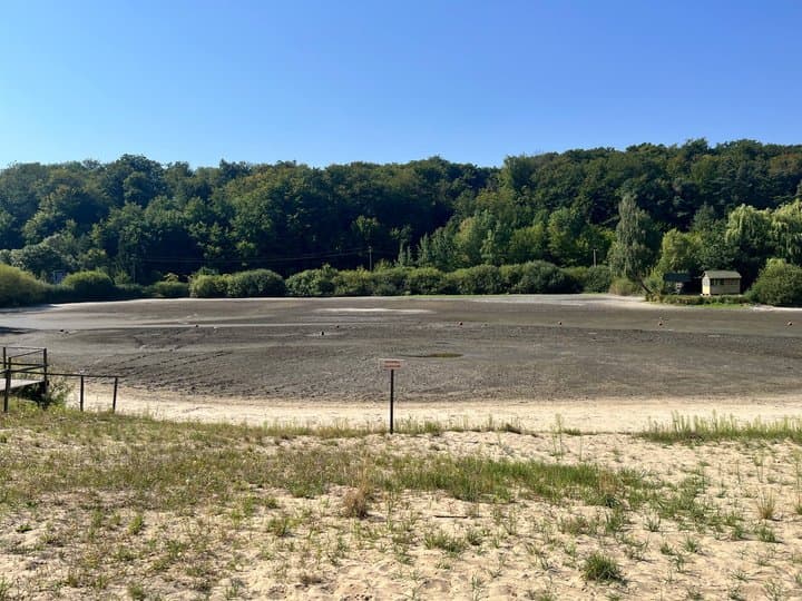 Озеро у Верещиці повністю висохло через спеку / фото Суспільне