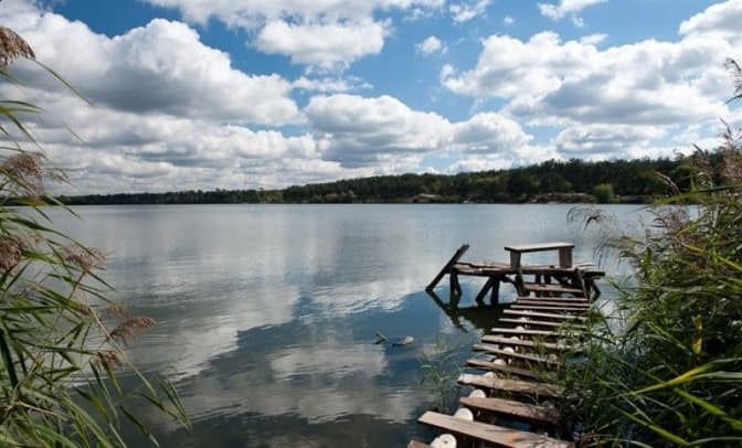 Більше чверті загальної площі Києва припадає на території природно-заповідного фонду, - КМДА