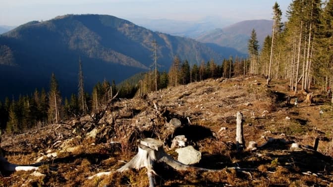 Як може керівник структури, яку треба реформувати, писати стратегію самореформування?