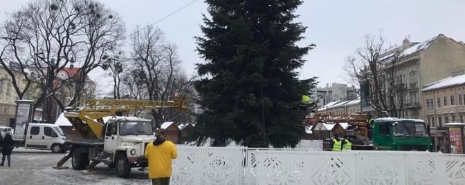 У Львові демонтовують головну ялинку. Фото