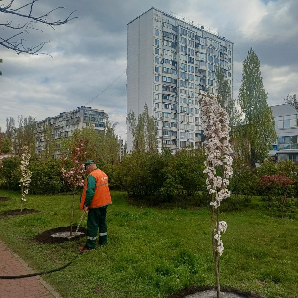 Висадка дерев. Фото: КМДА