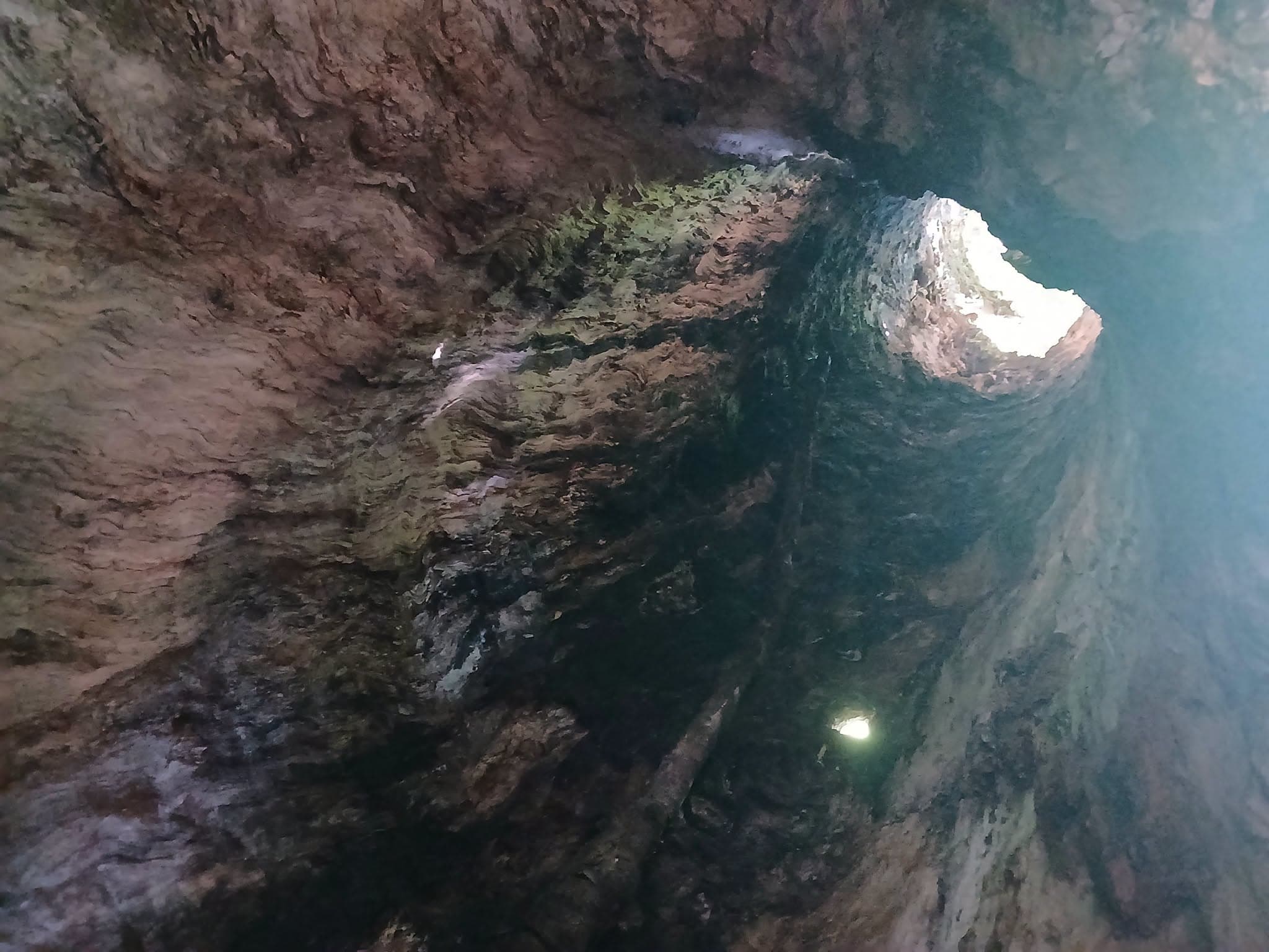 фото: НП "Сколівські Бескиди"
