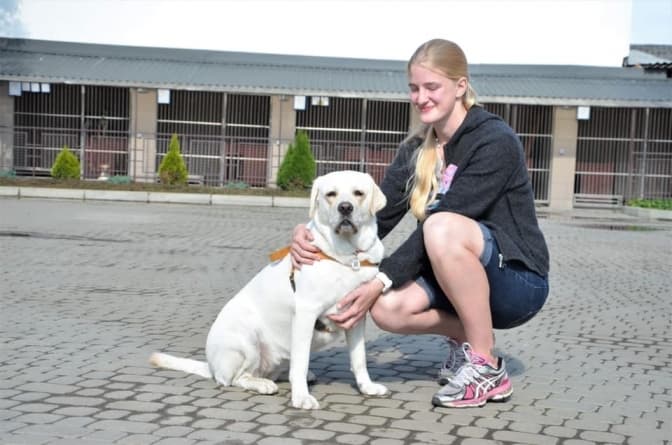 Собака-донор Дарсі з власницею. Фото: ЛКП "Лев"