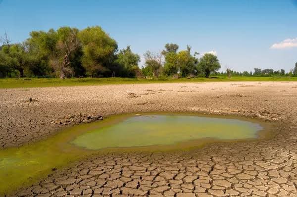 Львівщина може залишитися без води? Чому пересихають водойми та чи загрожує регіону екологічна катастрофа