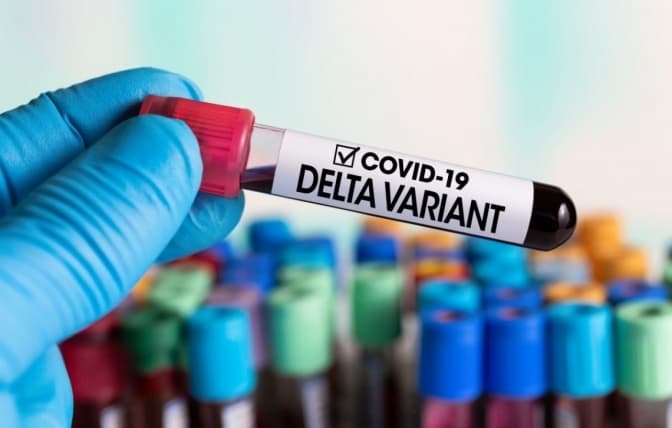 Ефективність вакцин Moderna і Pfizer проти штаму «Дельта» знизилась до 66%