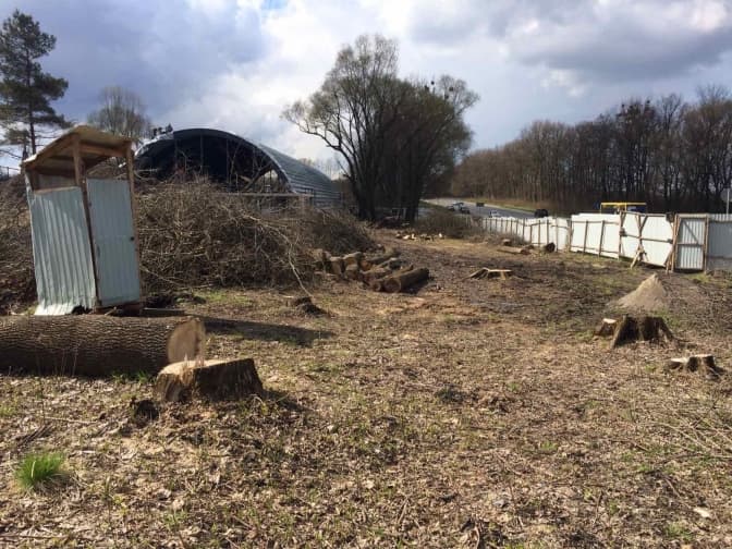 Біля Львова виявили незаконну зрізку понад сотні дерев уздовж траси