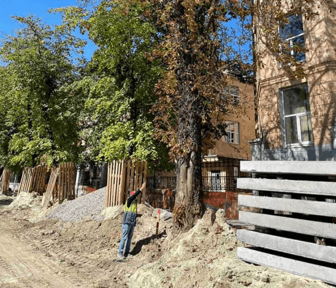 У Львові на вулиці Бандери завтра зріжуть два дерева