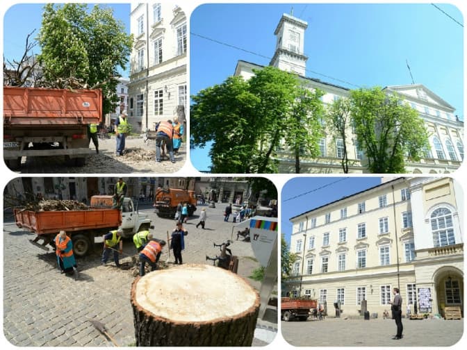 Львів’ян закликають долучитись до озеленення площі Ринок