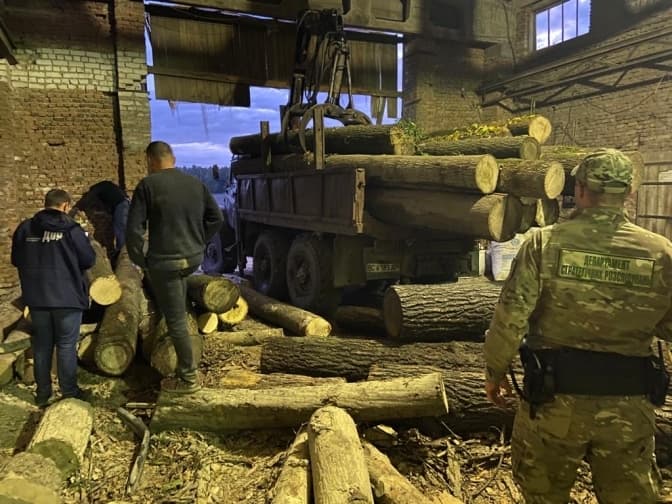 У Сокальському районі група службовців незаконно вирубувала та продавала деревину за кордон