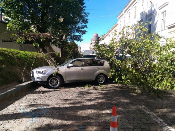 На парковці у Львові дерево розтрощило автомобіль. Хто має нести відповідальність?