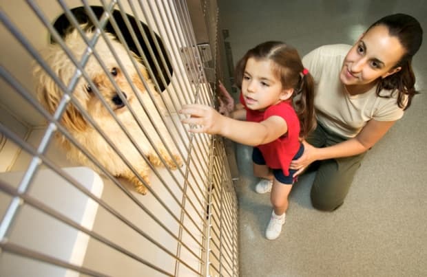 Фото: pet360.com