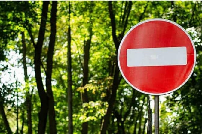 В одному з районів Львівщини діє заборона на відвідування лісів
