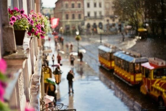 7 речей про Львів. Найголовніше за тиждень