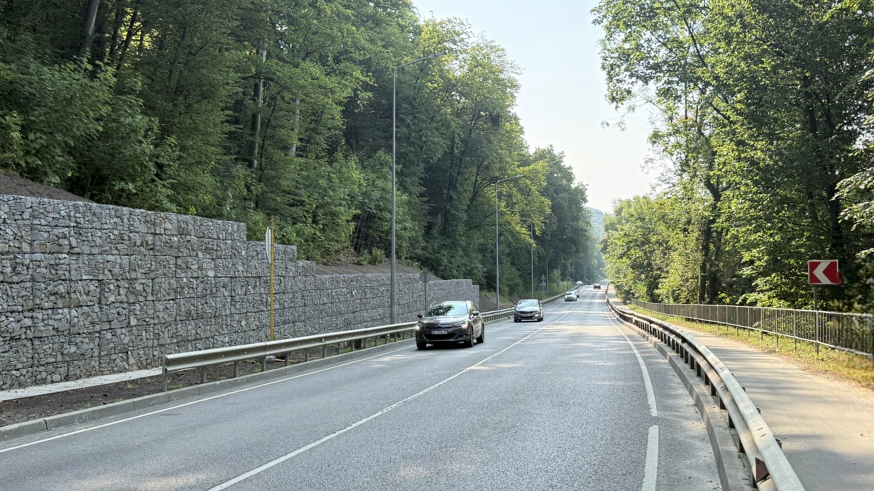 Вул. Личаківська серед густого зеленого лісу / фото: ЛМР