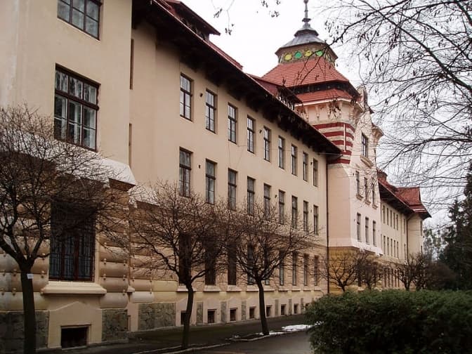 У Національному лісотехнічному університеті Львова відбудеться другий тур виборів ректора. Оновлено