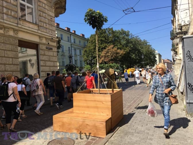 Фото дня. У центрі Львова висадили дерева у контейнерах