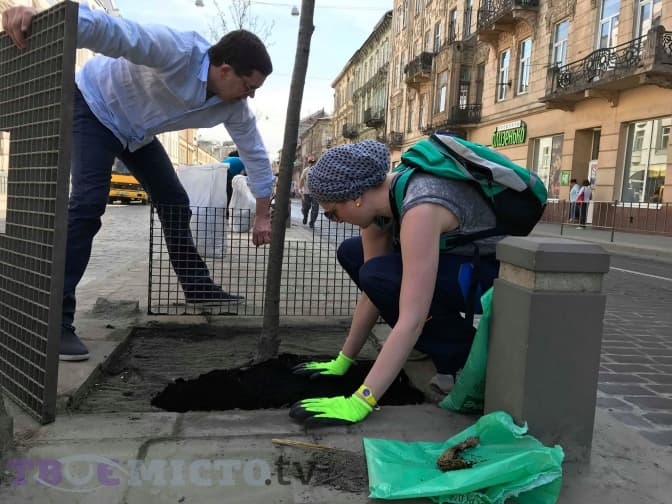 Як львів’яни рятували дерева від піскосуміші. Фоторепортаж