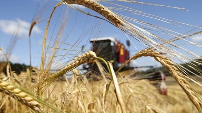 Україна експортує зерно через Польщу та Румунію