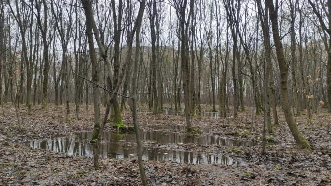 В одному із парків Львова, який затоплює через забудову, почнуть ремонт водовідведення