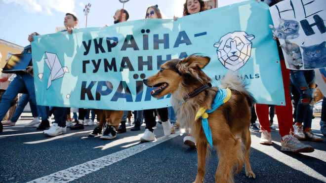 Заборона хутра і притравочних станцій. Завтра у Львові відбудеться марш за тварин