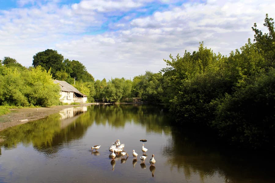 Річки Львівщини міліють через спеку / фото з мережі