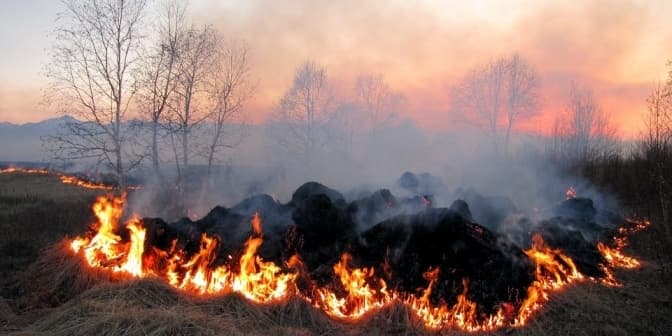 Киян попереджають про надзвичайний рівень пожежної небезпеки впродовж кількох днів