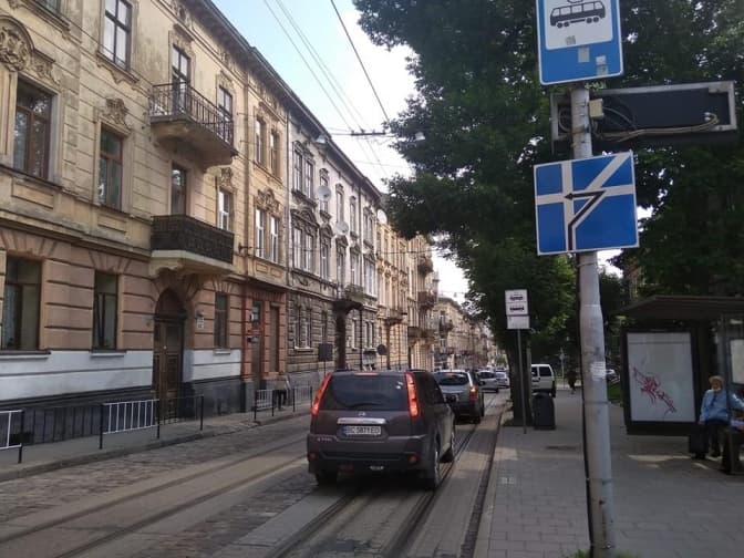 Чи потрібно було зрізати здоровий ясен на Генерала Чупринки