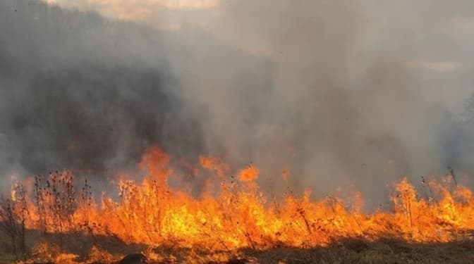 У Києві та області попереджають про надзвичайну пожежну небезпеку