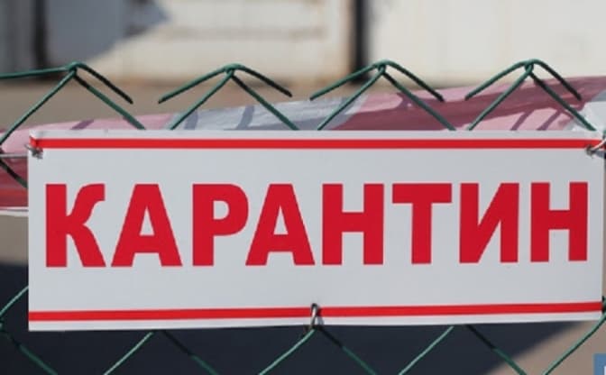 Через пташиний грип у лебедя у деяких населених пунктах Шептицького району оголосили карантин